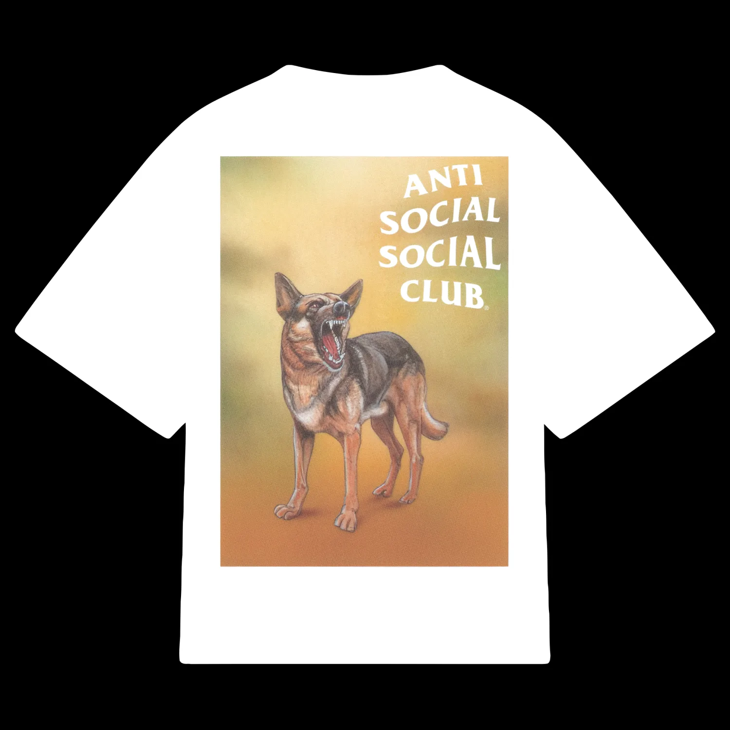 Anti Social Camello Vintage